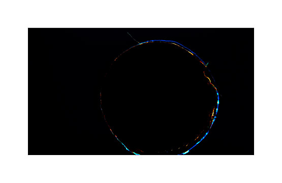 Amie Siegel: Black Moon